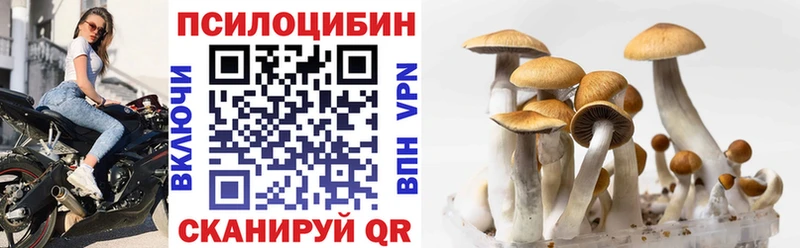 как найти   Шебекино  Галлюциногенные грибы MAGIC MUSHROOMS 