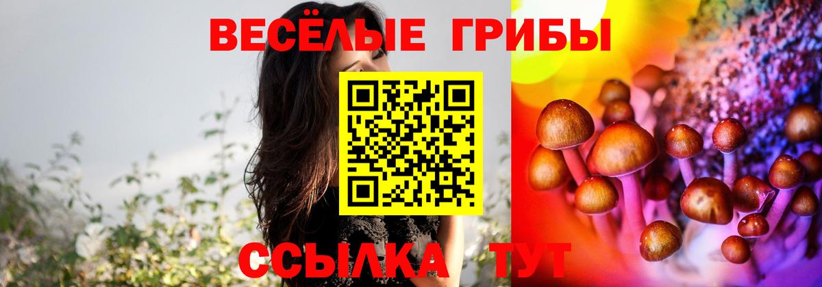 Псилоцибиновые грибы ЛСД Шебекино